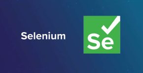 se